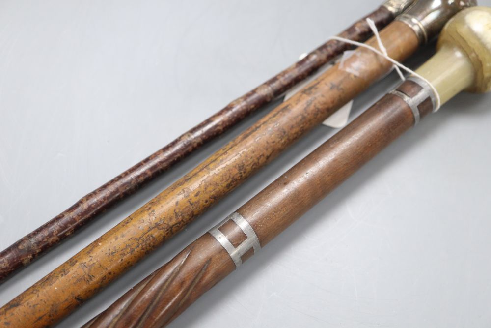 Two walking canes, one with horn handle, the other silver mounted handle, together with a riding crop
